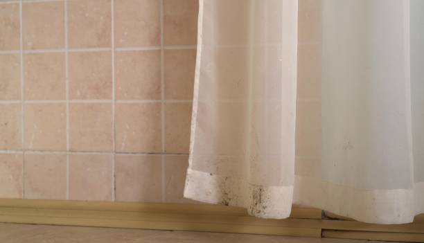 Mold Documentation for Insurance Claims in Lucas, TX