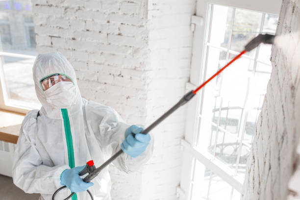 Best Mold Odor Removal Services  in Lucas, TX