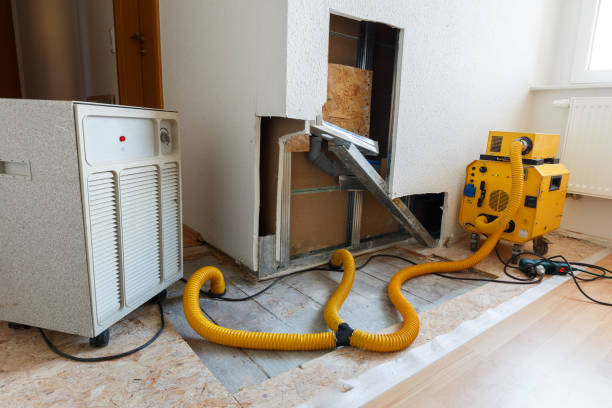 Best Forensic Mold Investigation  in Lucas, TX